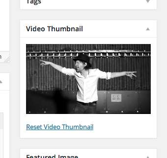 Video Thumbnails Plugin WordPress