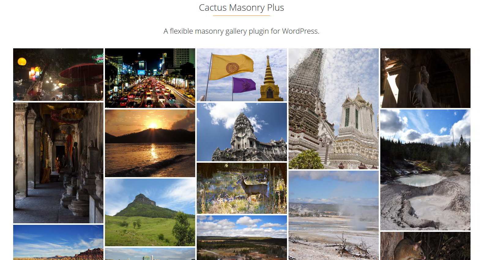 Cactus Masonry Plus Plugin WordPress